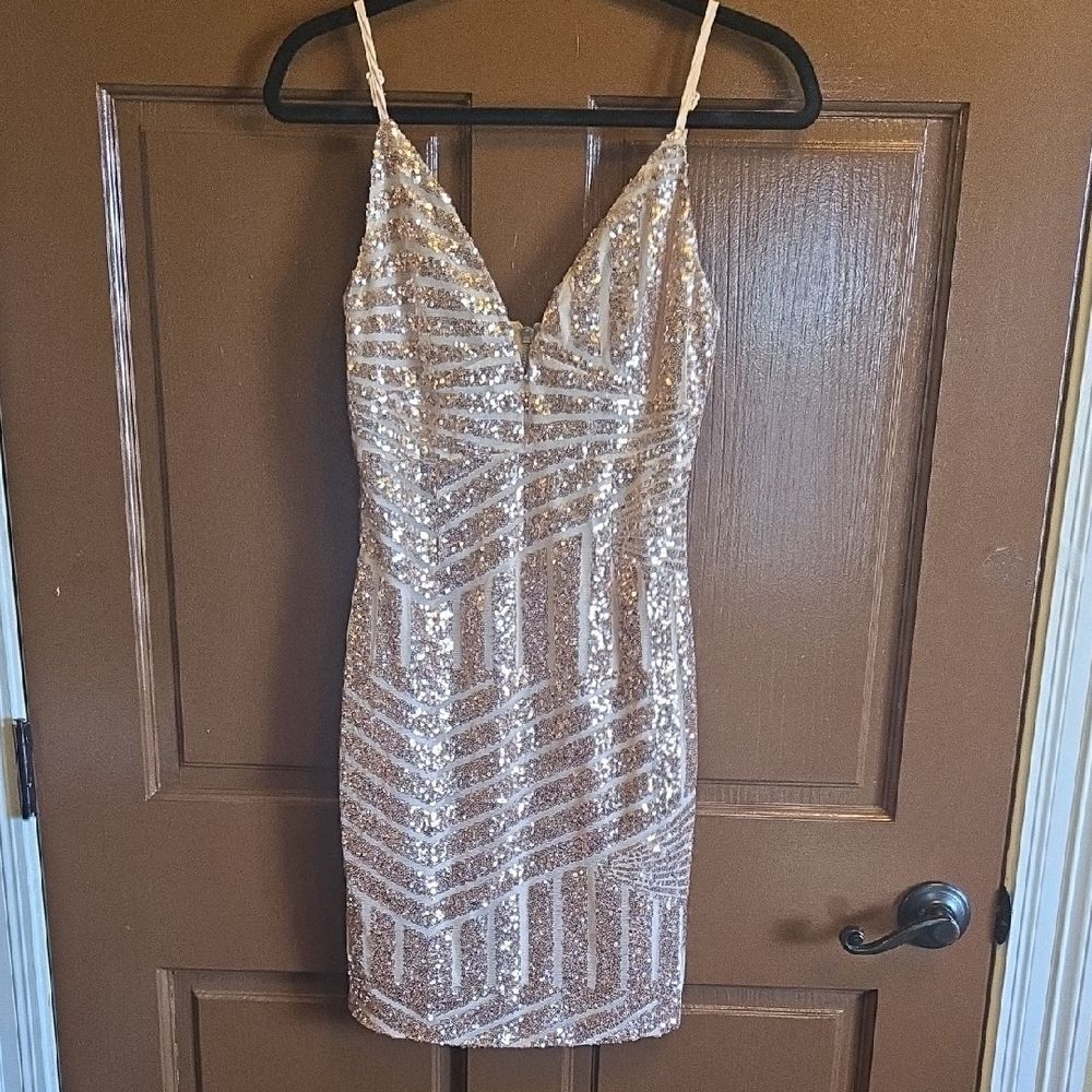 Tiger Mist-Rose sequin short dress on net fabric with V neck and thin straps SM.